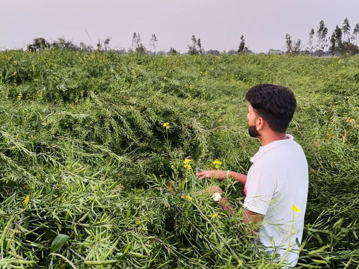 ASTHA AGRO SEEDS