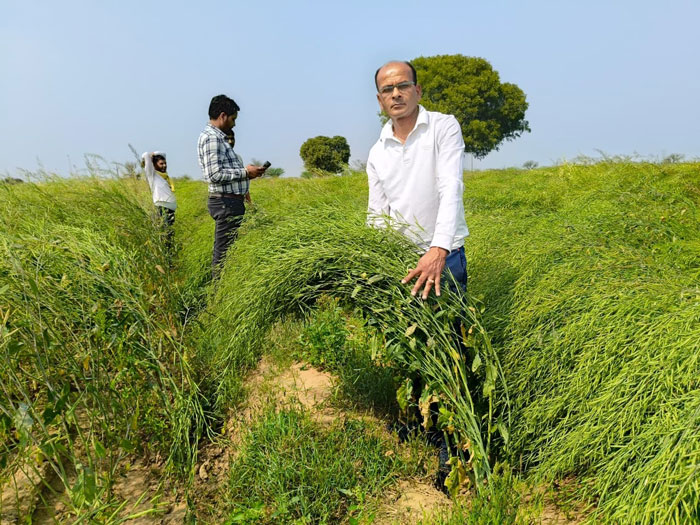 ASTHA AGRO SEEDS