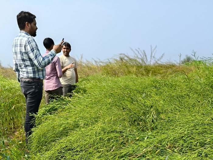 ASTHA AGRO SEEDS