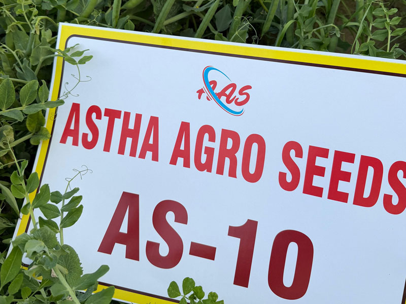 ASTHA AGRO SEEDS