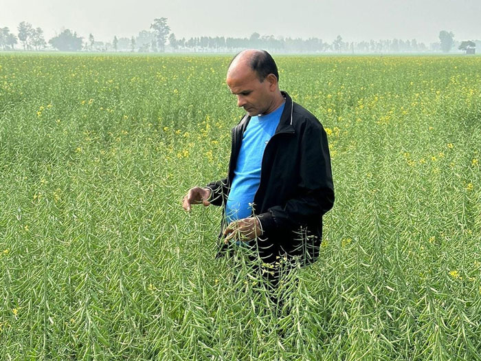 ASTHA AGRO SEEDS